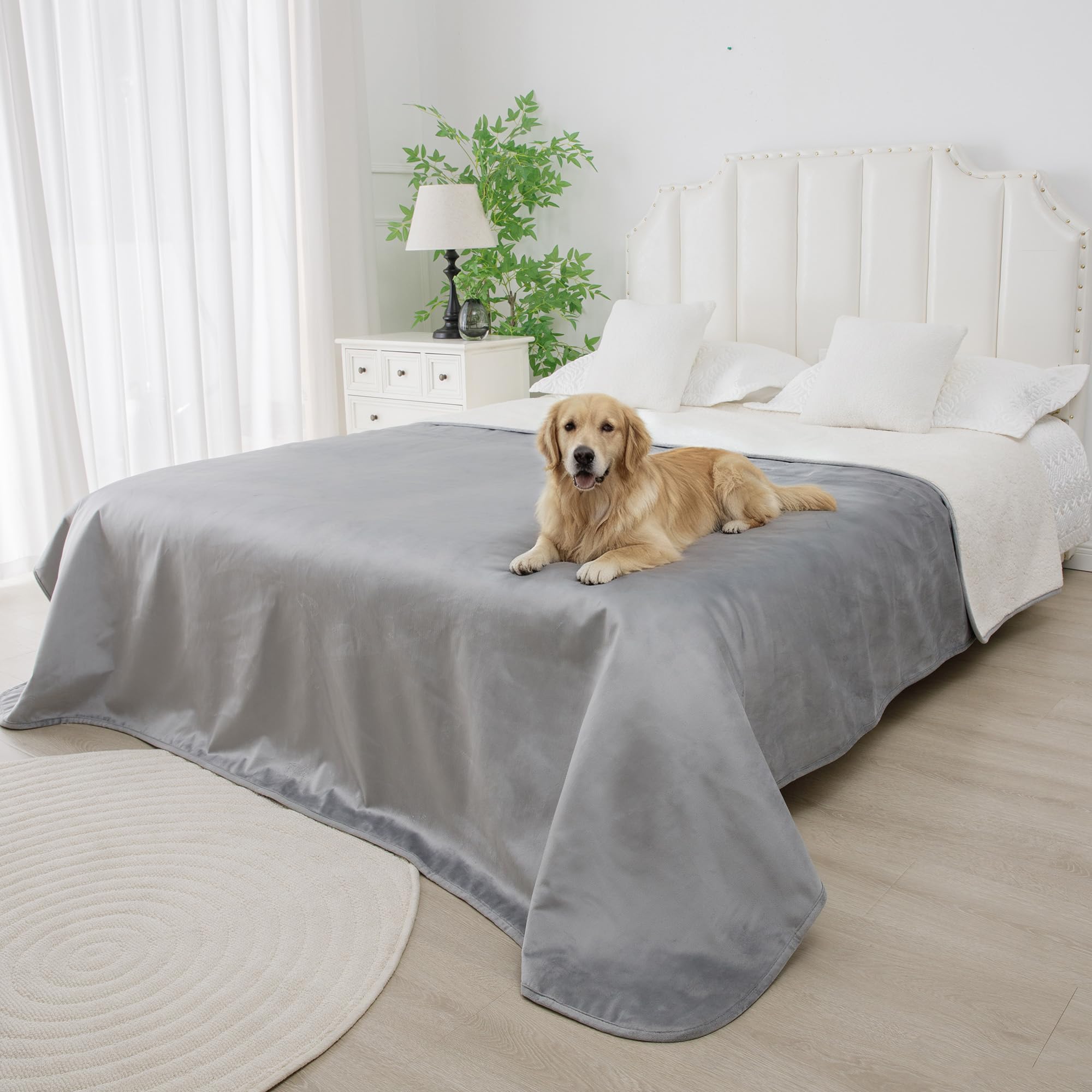 Bigbeer couverture impermeable chien 86x90 gris fonce protege canapé et lit