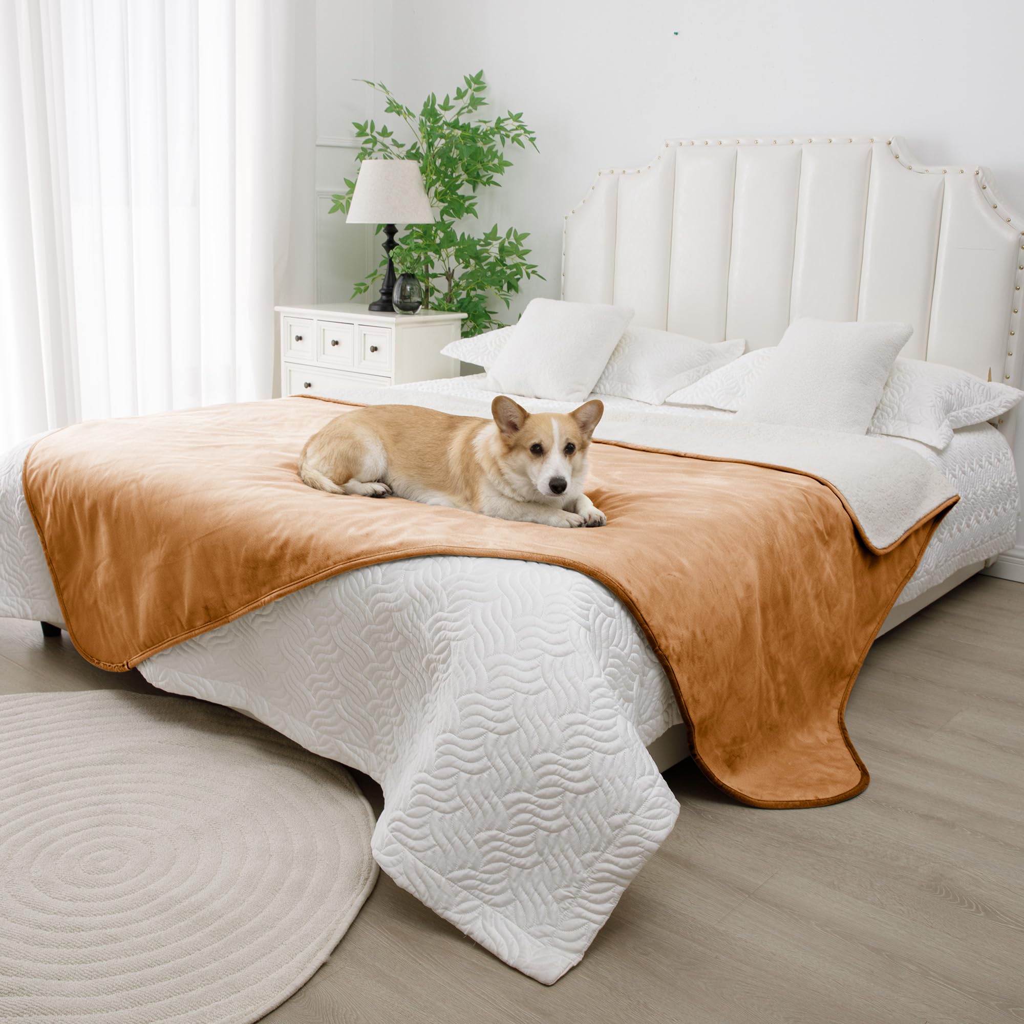 Bigbeer couverture imperméable pour lit offre chaleur et protection contre les liquides