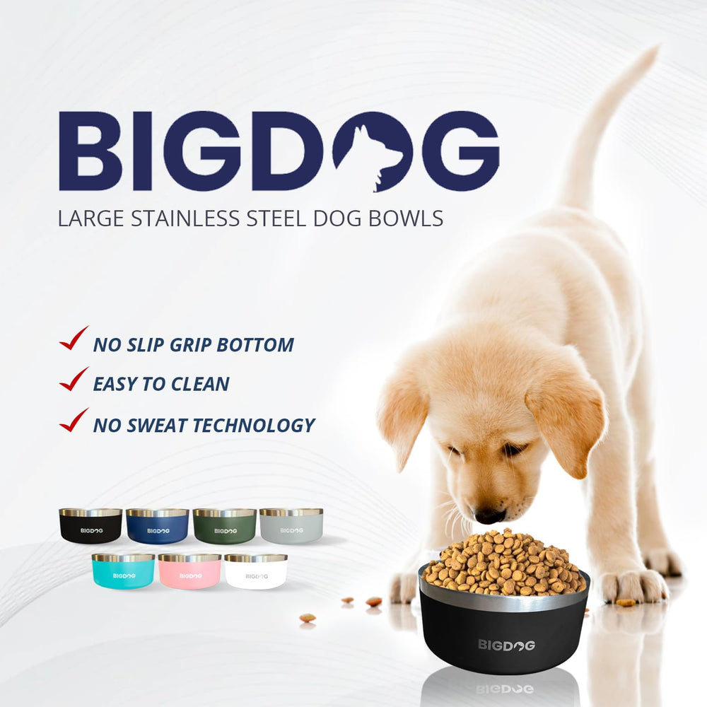 Bol BIGDOG inoxydable anti-débordement rose, durable et hygiénique.