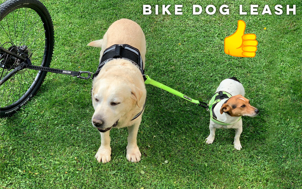 BIKE AND DOG - serres-cables specifiques velo, fixation fiable et rapide.
