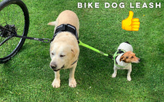 BIKE AND DOG - serres-cables specifiques velo, fixation fiable et rapide.