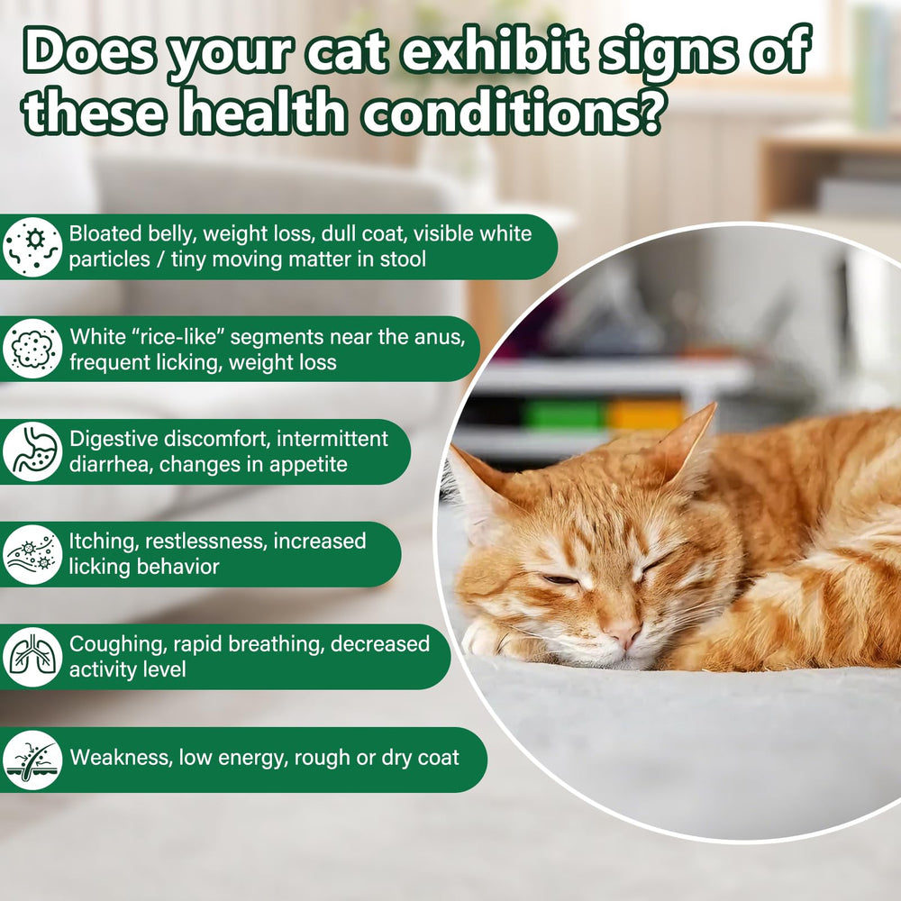 BiKontrun Déparasitant chat — application sur nourriture, pratique au quotidien.