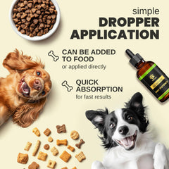 Bouteille d'huile de chanvre Billion Pets prête à l'emploi.
