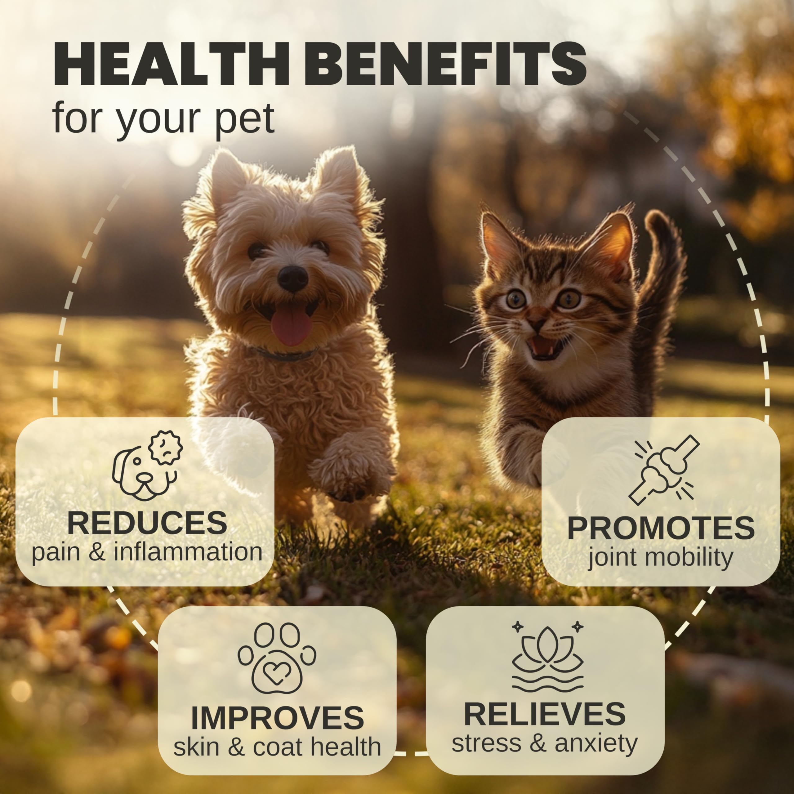 Gouttes Billion Pets pour chien et chat, dosage précis pour le quotidien.