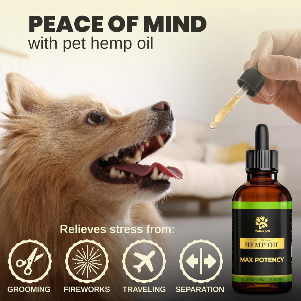 Peau et pelage brillants grâce à Billion Pets huile chanvre.