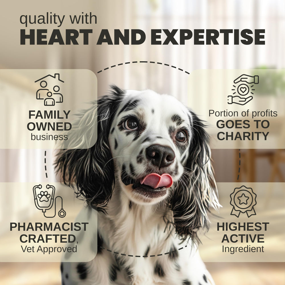 Versement sur nourriture avec Billion Pets pour une routine apaisante.