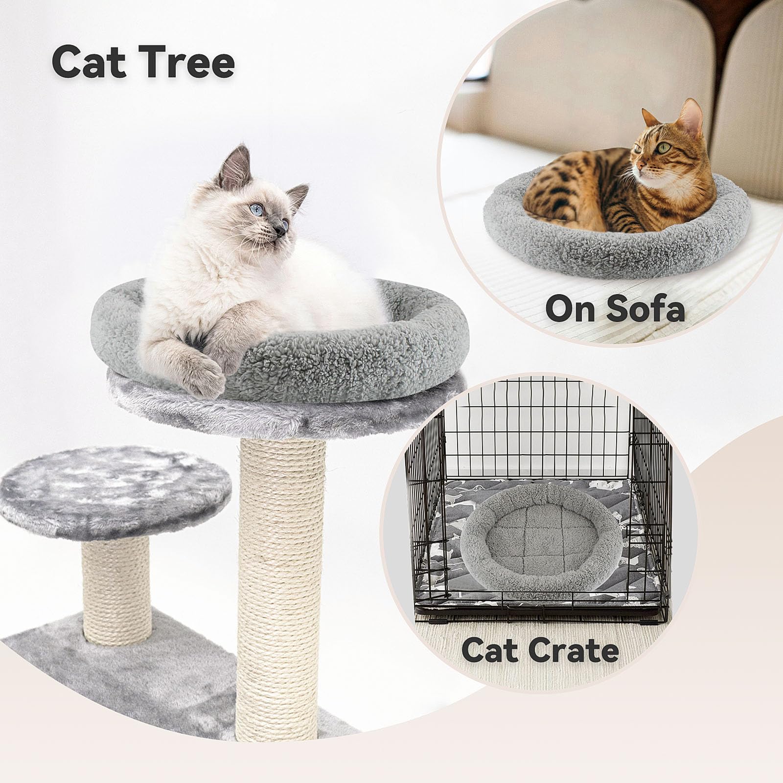 Chat se love dans le lit rond Billionchains avec bords rembourrés.