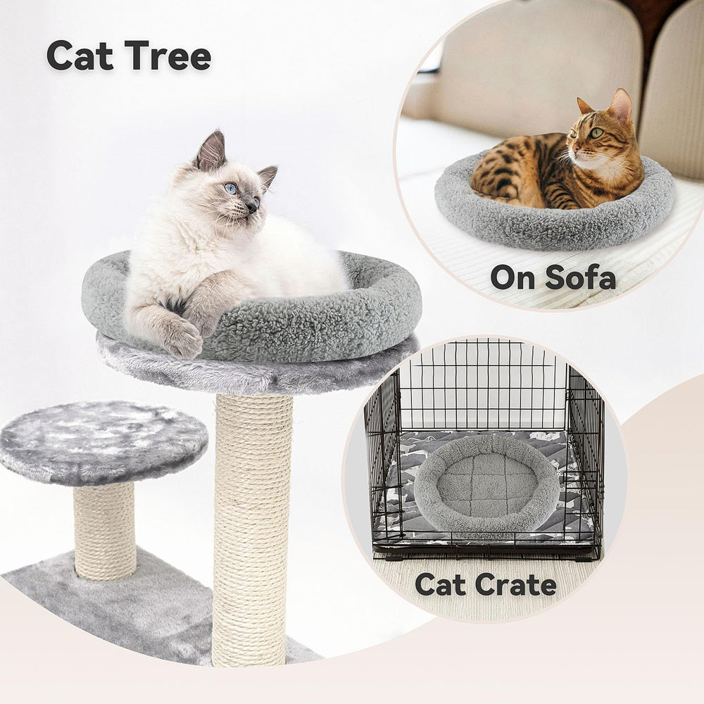 Chat se love dans le lit rond Billionchains avec bords rembourrés.