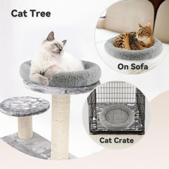 Chat se love dans le lit rond Billionchains avec bords rembourrés.