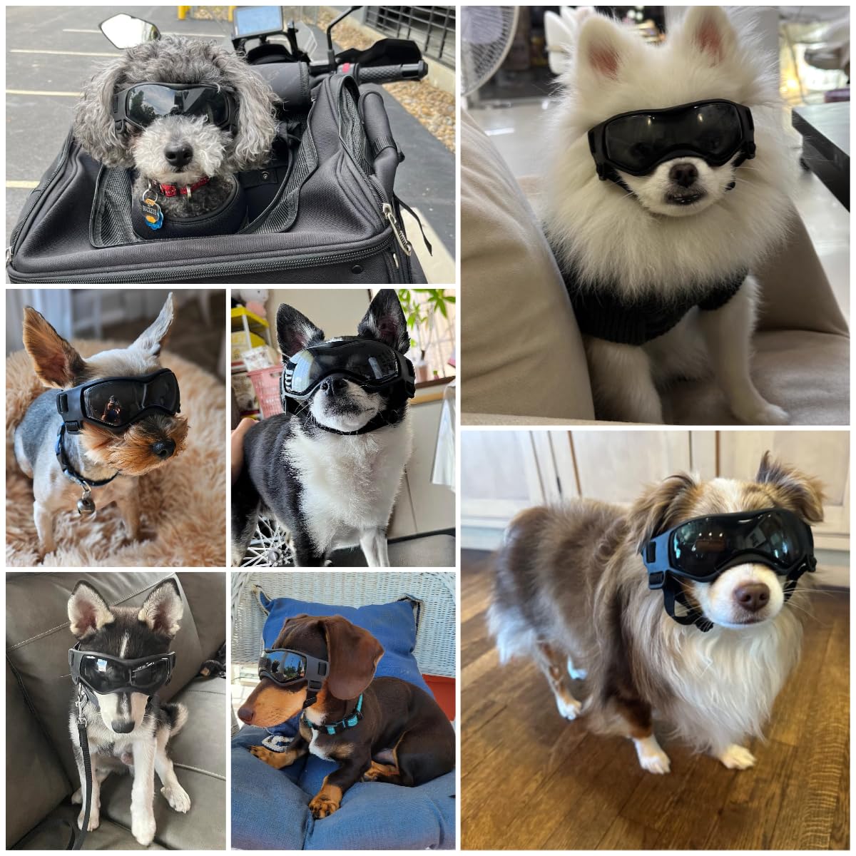 Les lunettes Billionchains montrent l'ajustement de la tête pour un maintien sûr pendant le mouvement.