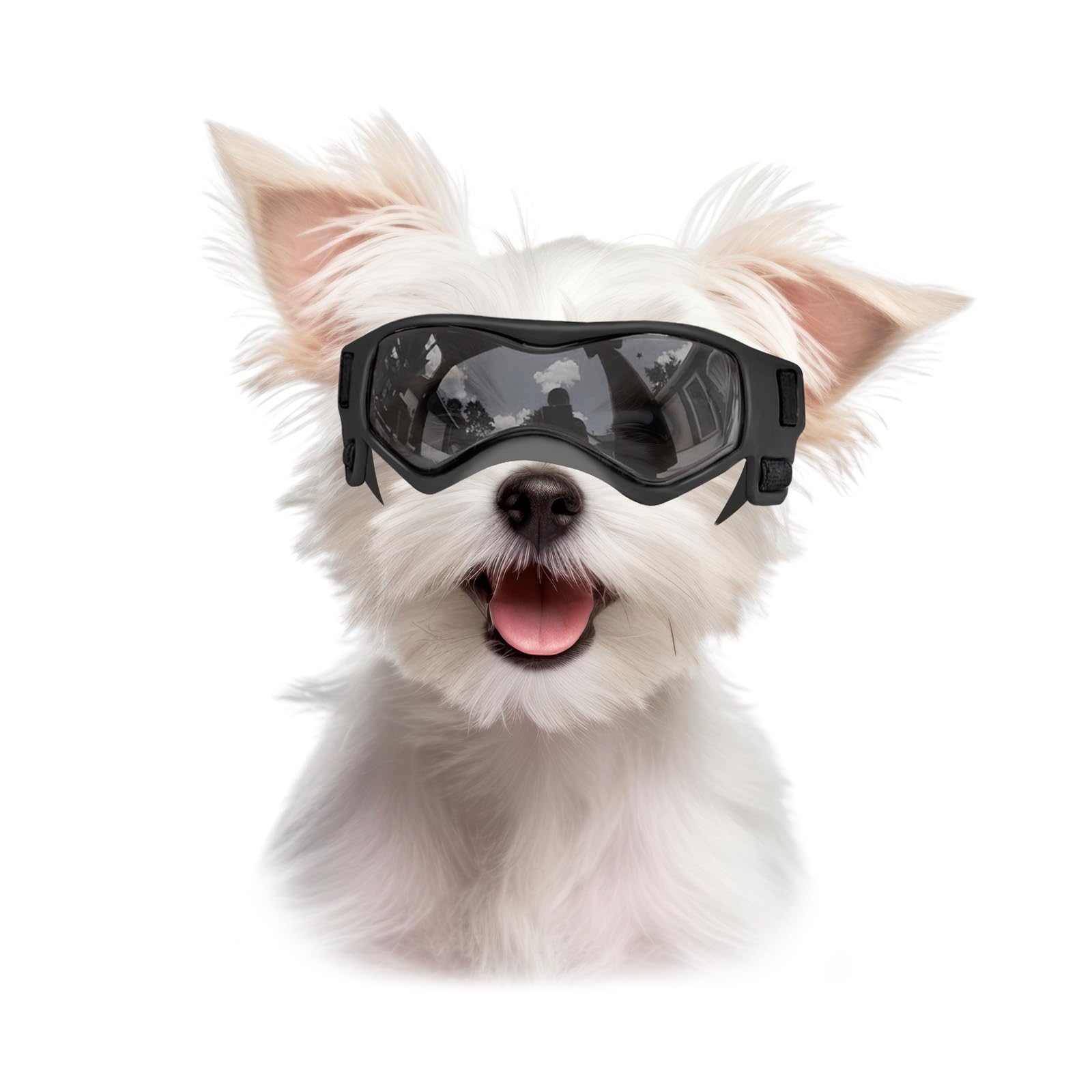 Lunettes Billionchains pour petit chien – protection anti-UV efficace contre le soleil.