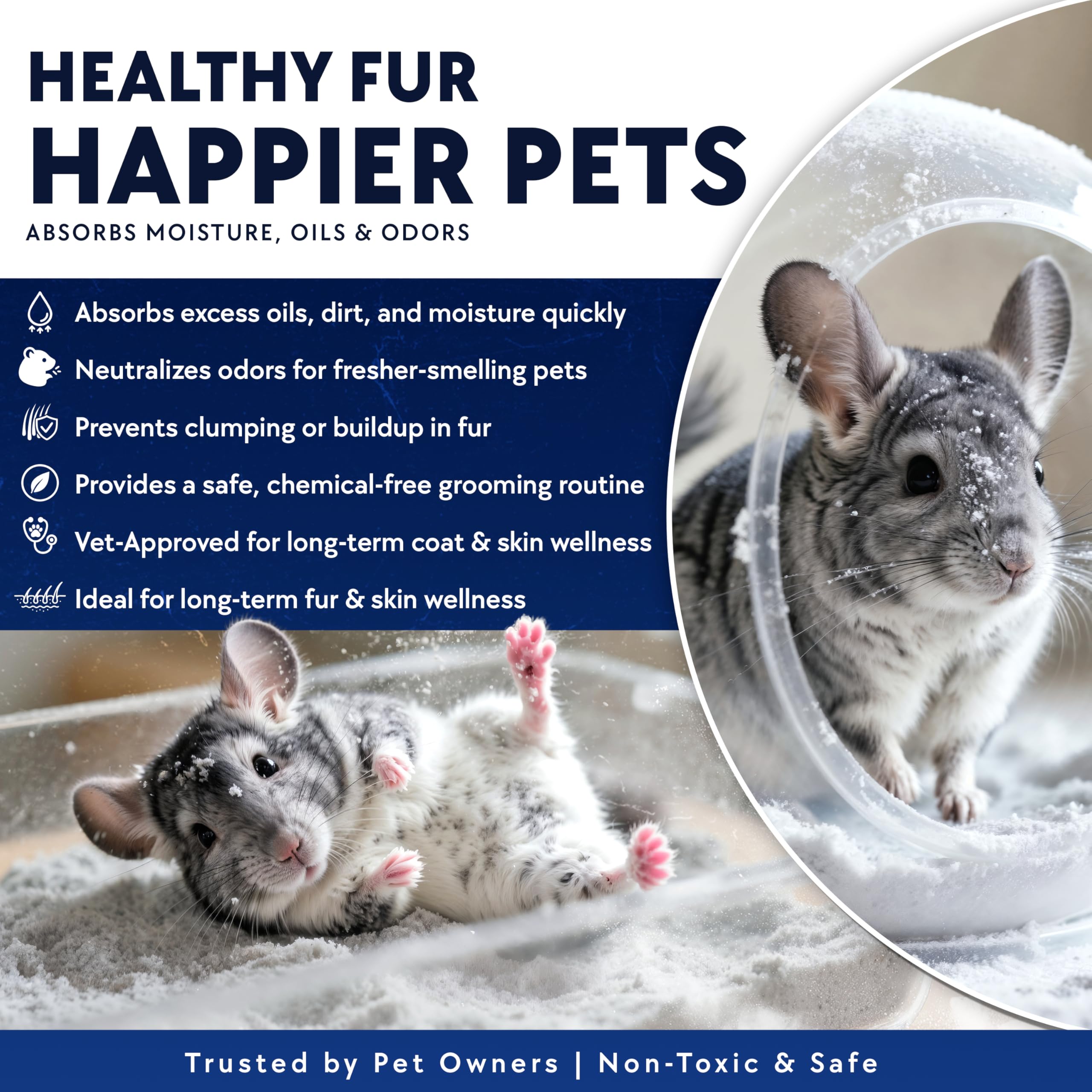 Billy Buckskin Hamster - bain de sable: activité ludique et réduction du stress.