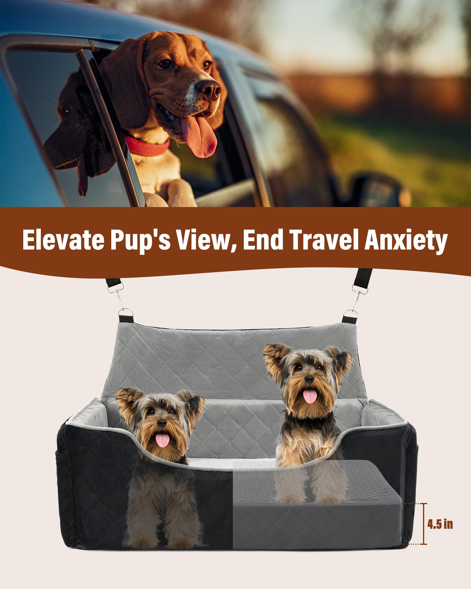 Bilypaws boosteur-deux-petits-chiens : espace sûr pour deux compagnons.