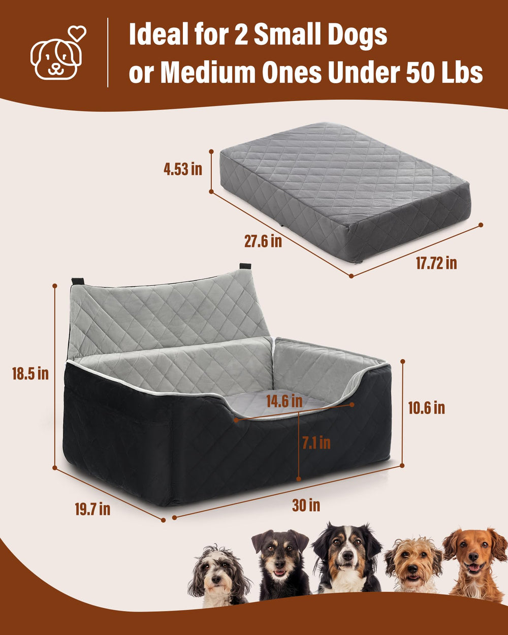 Bilypaws coussin-memoire-épais : soutien doux et durable.