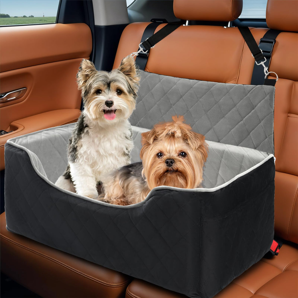 Bilypaws siège-auto-chien-grand : sécurité et confort pendant le trajet.