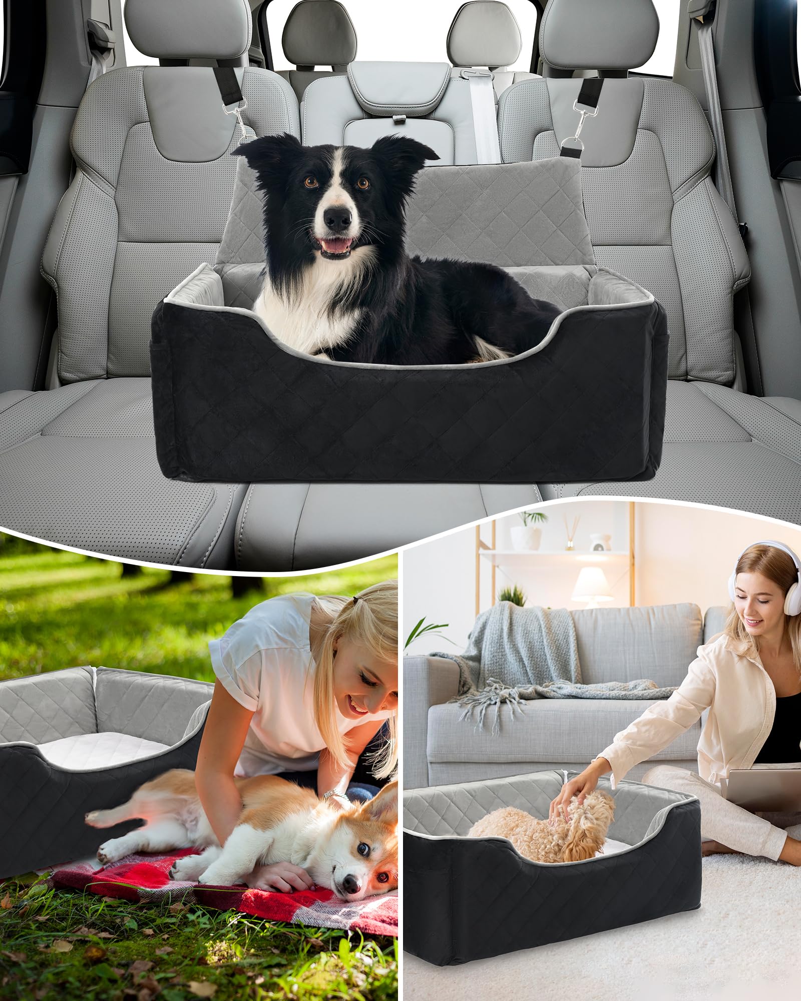 Bilypaws usage-vehicule : installation rapide et confort pour votre chien.