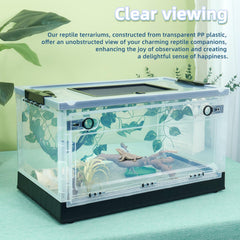 Binano terrarium reptile porte-clips d'alimentation pour un soin simplifié.