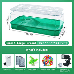 Binano Tortue: filtration autonome assurant une eau claire et stable.