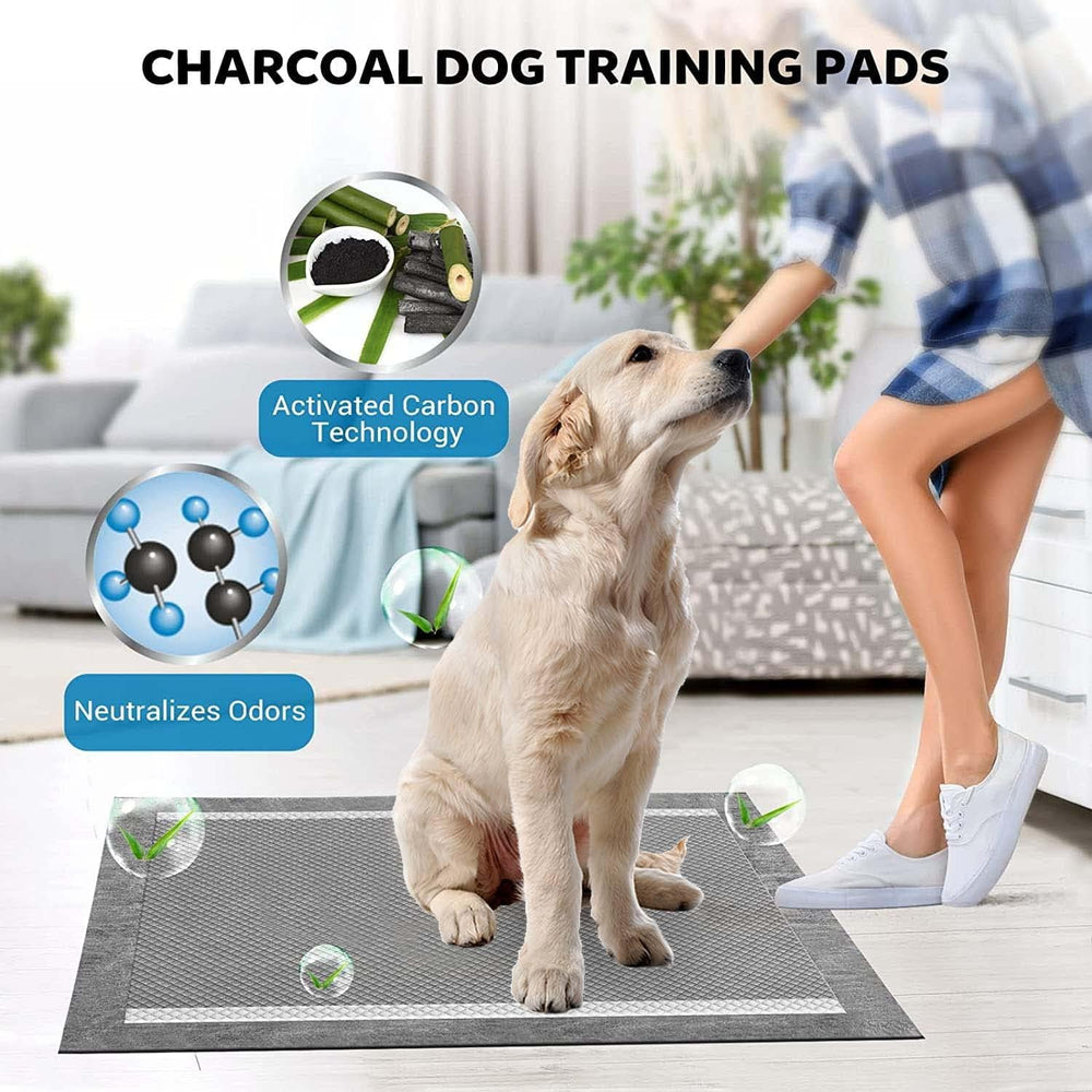 BinetGo tapis-pipi charbon actif, réduit les odeurs sans danger pour animaux.