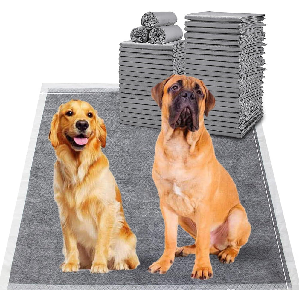 BinetGo tapis-pipi chien absorbant XXL, pour un contrôle des accidents à domicile.