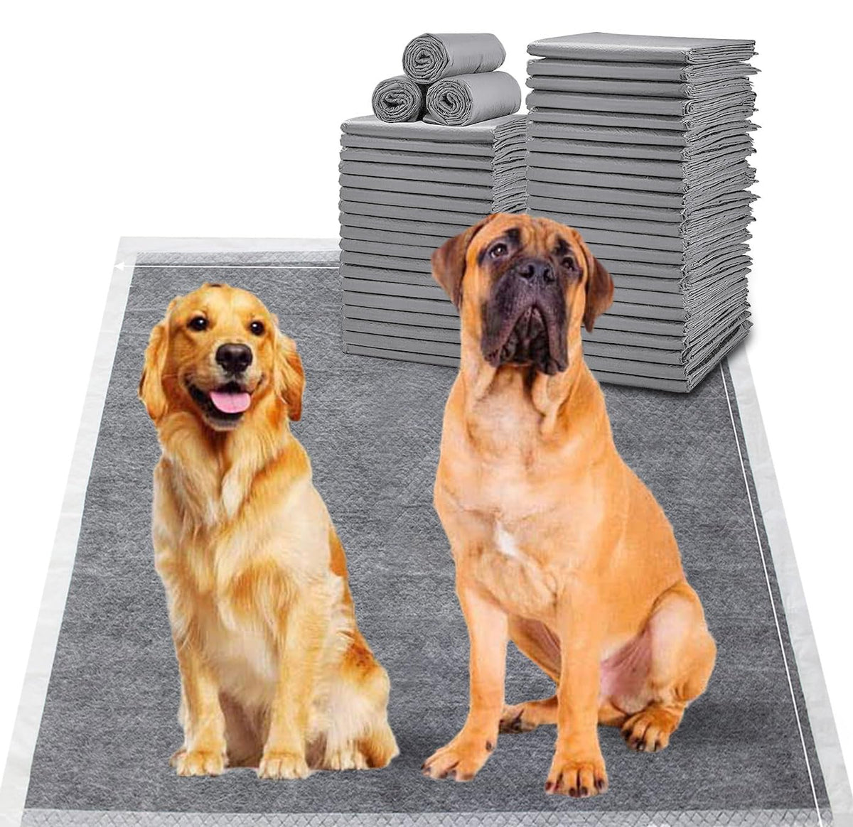 BinetGo tapis-pipi chien absorbant XXL, pour un contrôle des accidents à domicile.