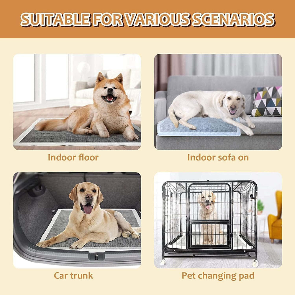 BinetGo utilisation intérieur et extérieur, convient à plusieurs chiens.