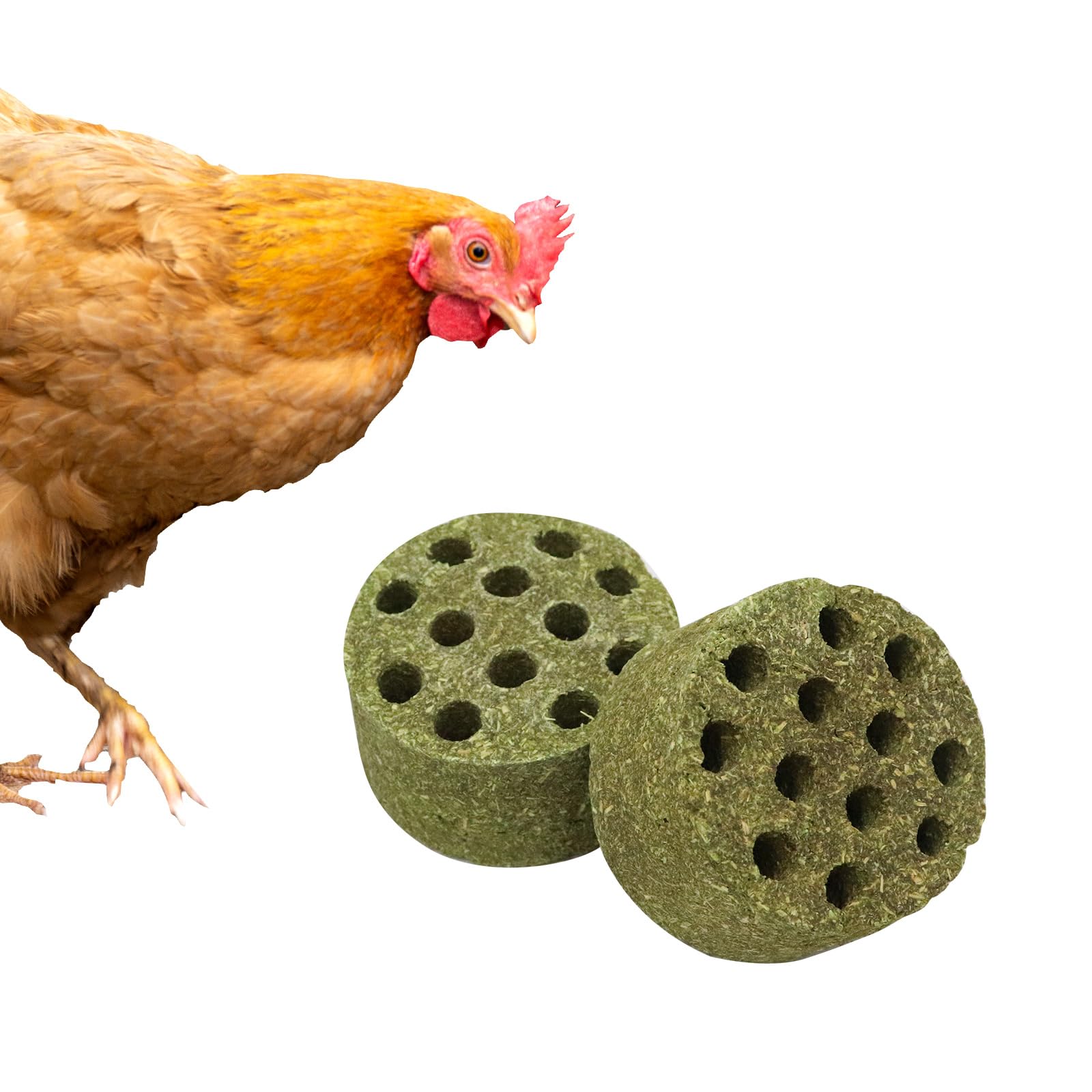 BingegePet bloc-herbe-timothy-coop: stimulation naturelle et enrichissement pour vos volailles.