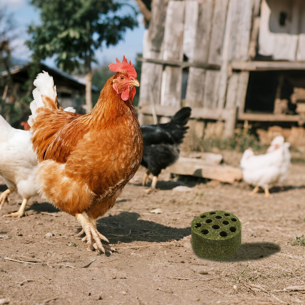BingegePet bloc-timothy-sans-additifs: sécurité alimentaire grâce à une composition naturelle.