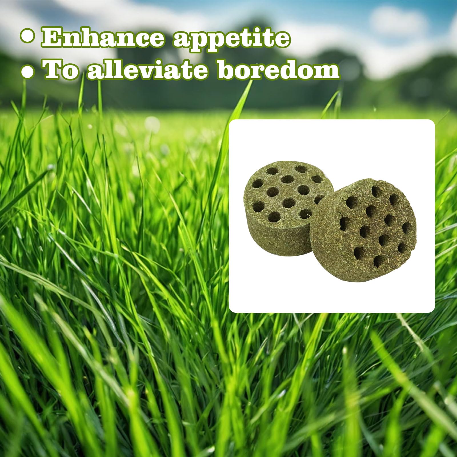 BingegePet texture-hexagones-bloc-timothy: texture intrigante qui stimule le bec des volailles.