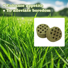 BingegePet texture-hexagones-bloc-timothy: texture intrigante qui stimule le bec des volailles.