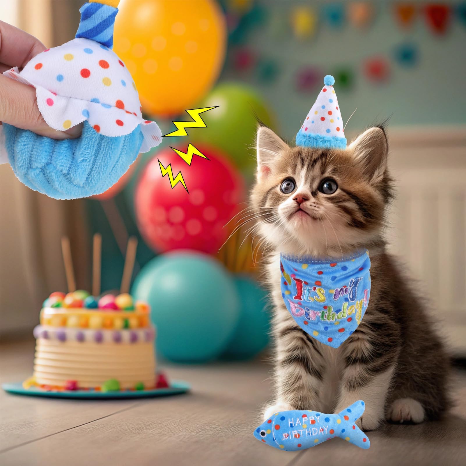 Coffret anniversaire BINGPET chat, ensemble complet prêt à offrir