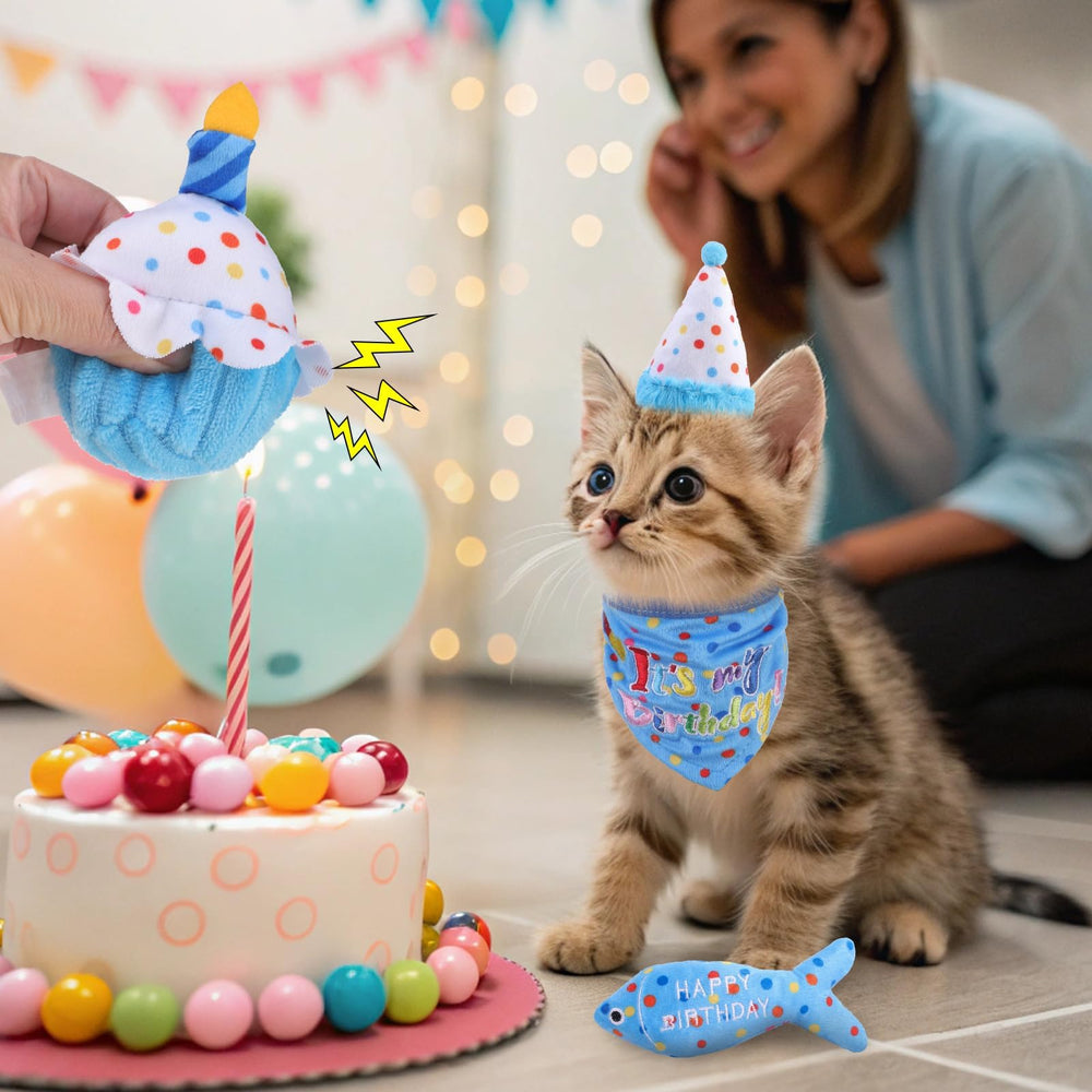Ensemble jouets anniversaire BINGPET, kit festif favorisant jeu et lien avec votre chat
