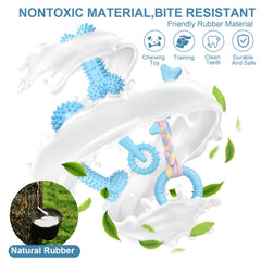 TPR naturel et sûr pour mâcher en douceur et nettoyer les dents.