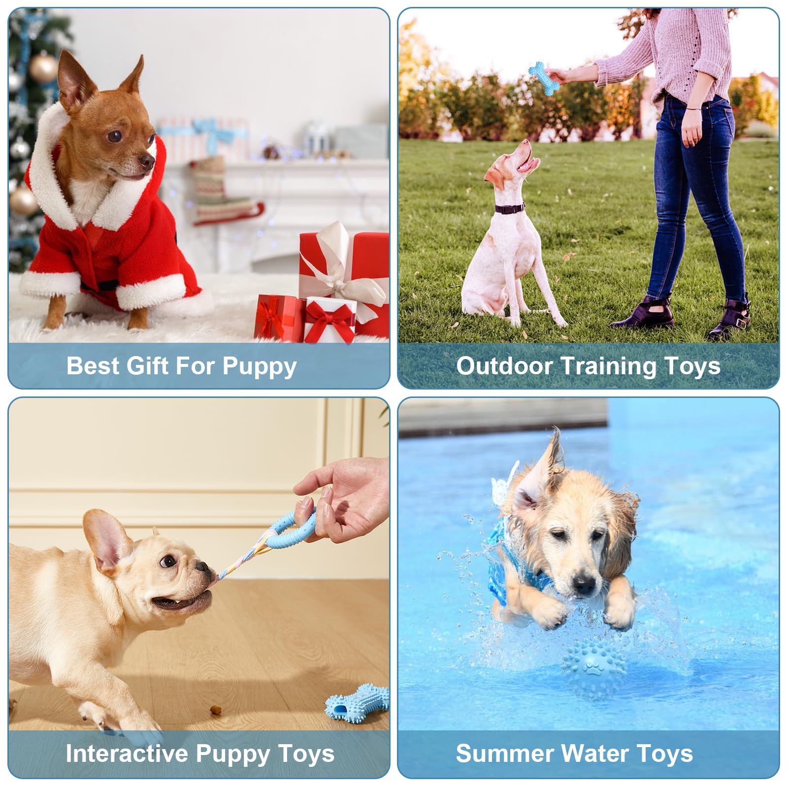 Idéal petits chiens, cadeau pratique pour l'éveil et le divertissement.