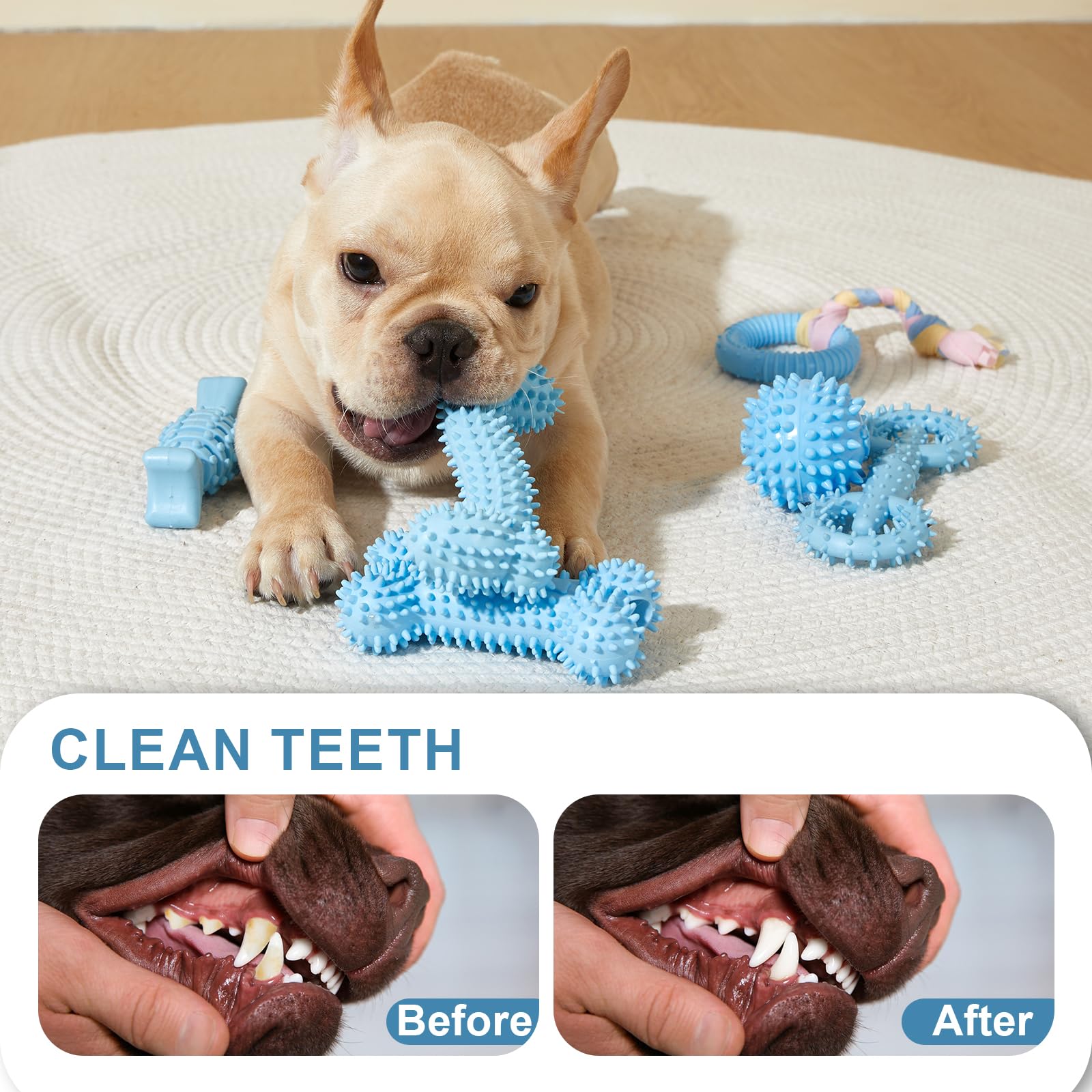 Jouets robustes et durables résistant à la mastication des chiots.