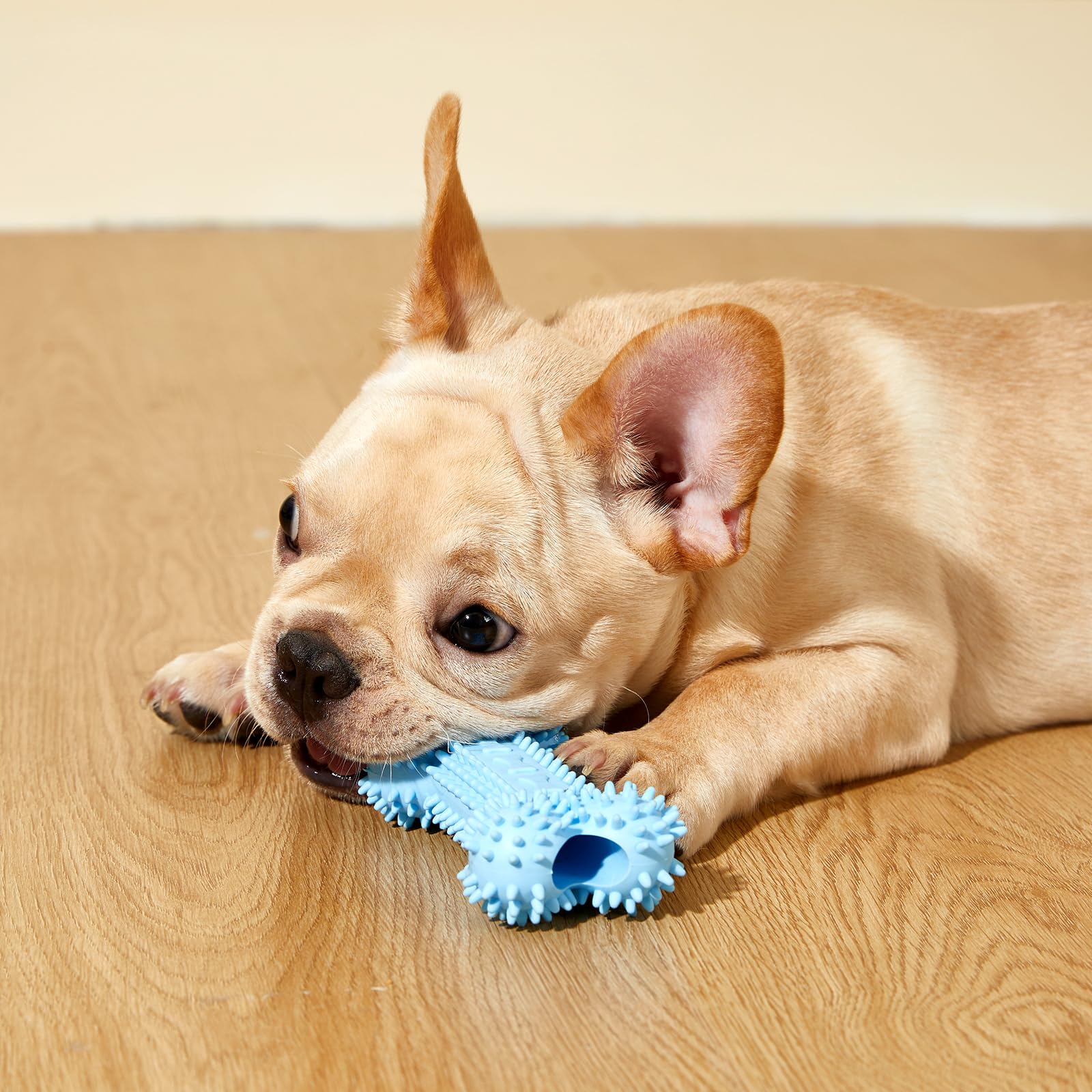 Idéal comme cadeau Noël ou anniversaire pour chiots et petits chiens.