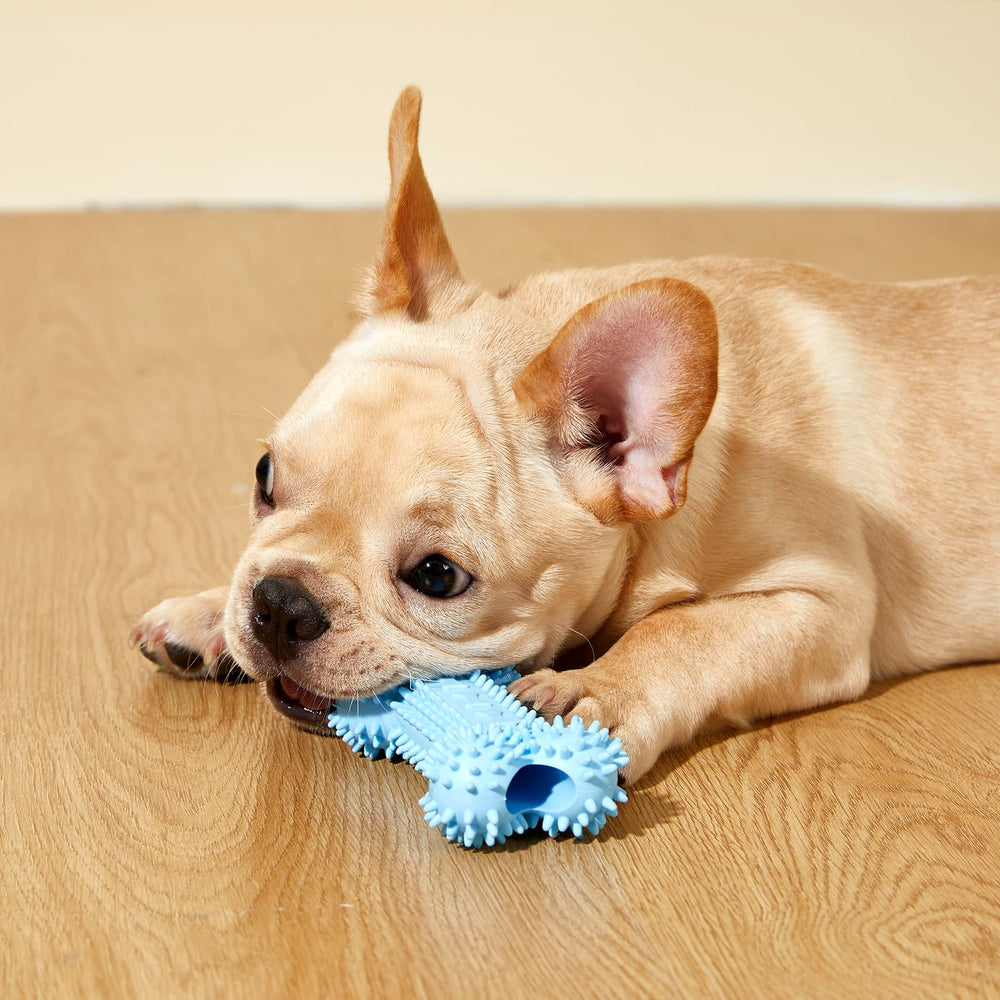 Idéal comme cadeau Noël ou anniversaire pour chiots et petits chiens.