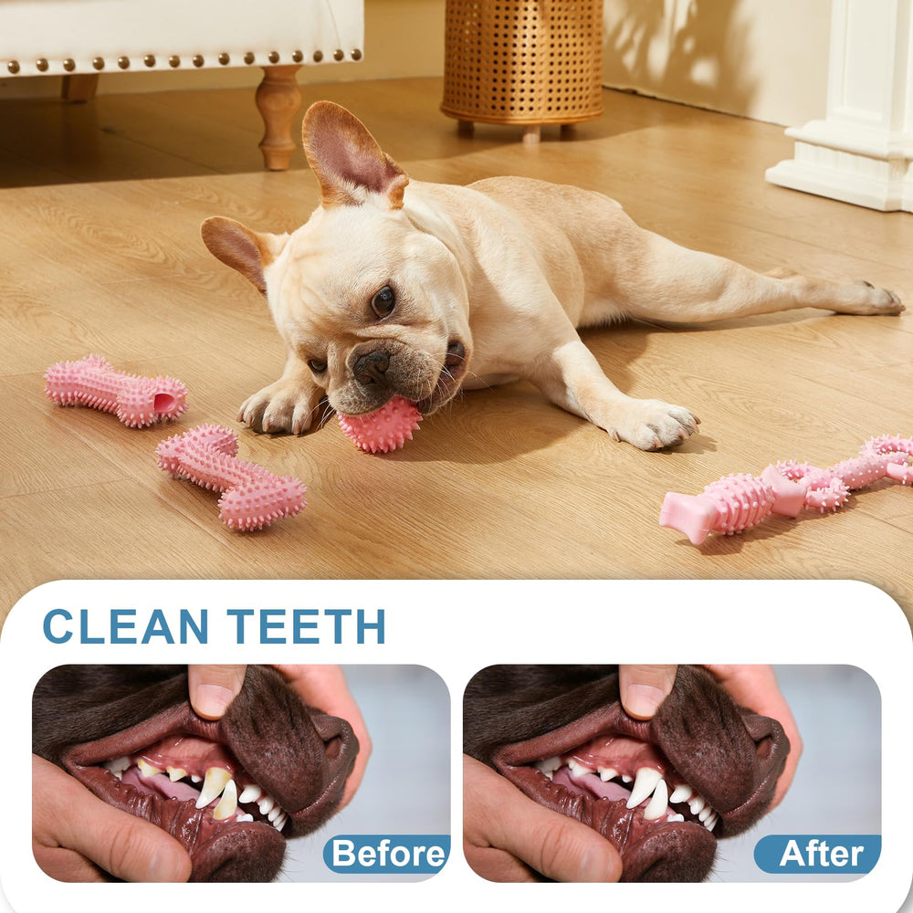Cadeau idéal Bininl pour petit chien, divertissement sûr