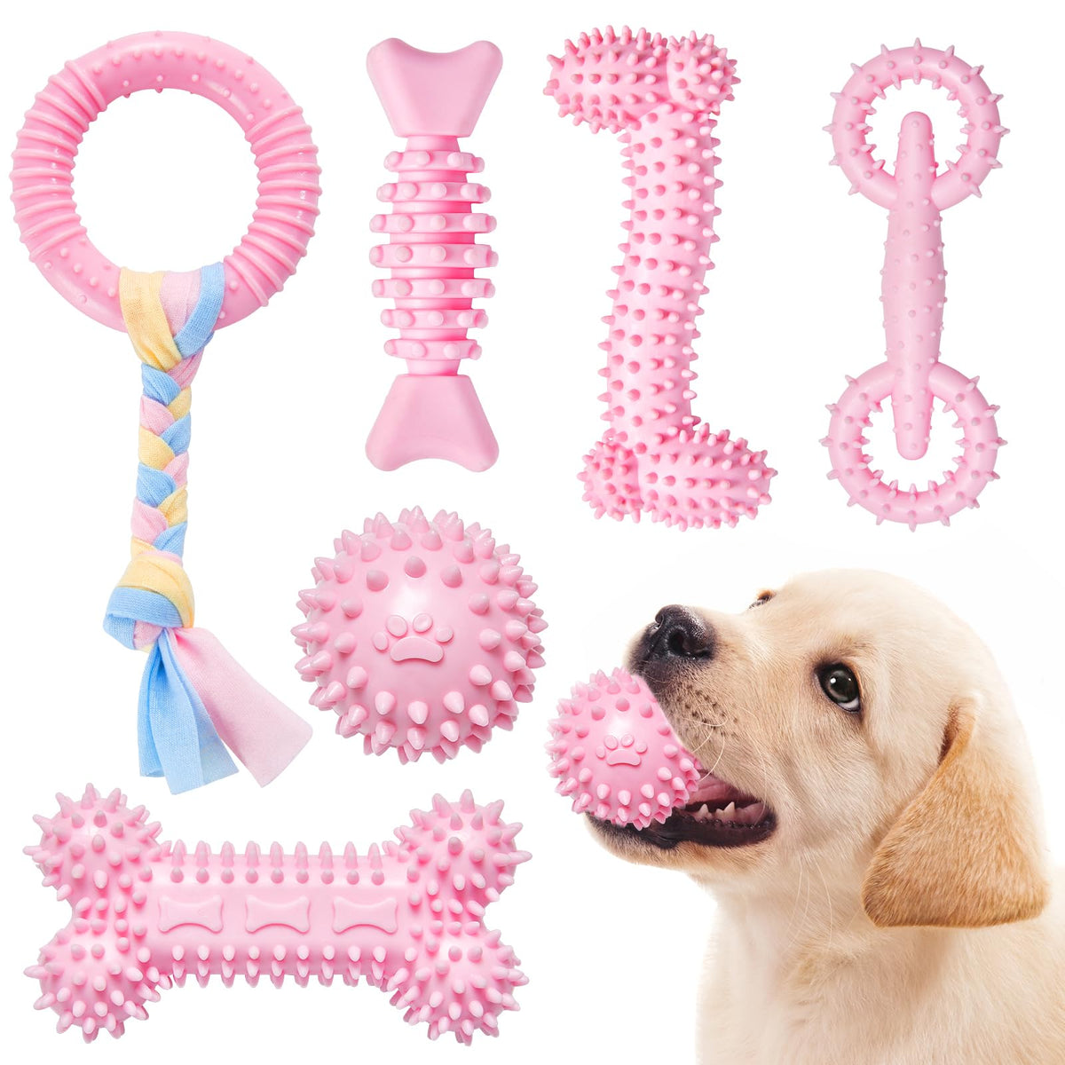 Jouet dentition Bininl, six formes pour chiots, soulage les gencives