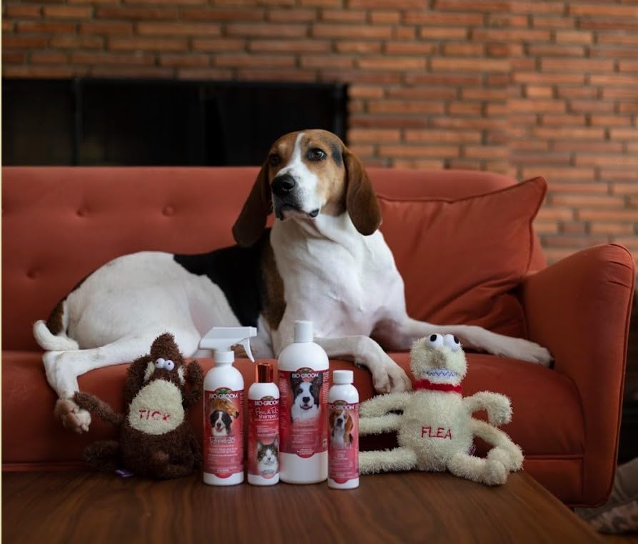 Après-bain Bio-Groom – pelage hydraté et brillant chez chien et chat.