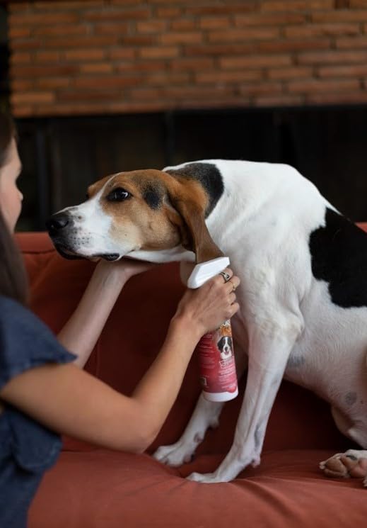 Bio-Groom fabriqué aux États‑Unis – étiquette sans cruauté et transparente.