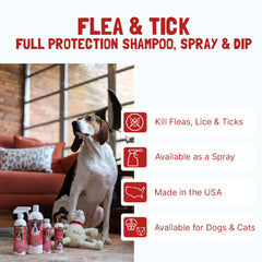 Bio-Groom Shampoing – ingrédients protéinés et lanoline, étiquette naturelle.