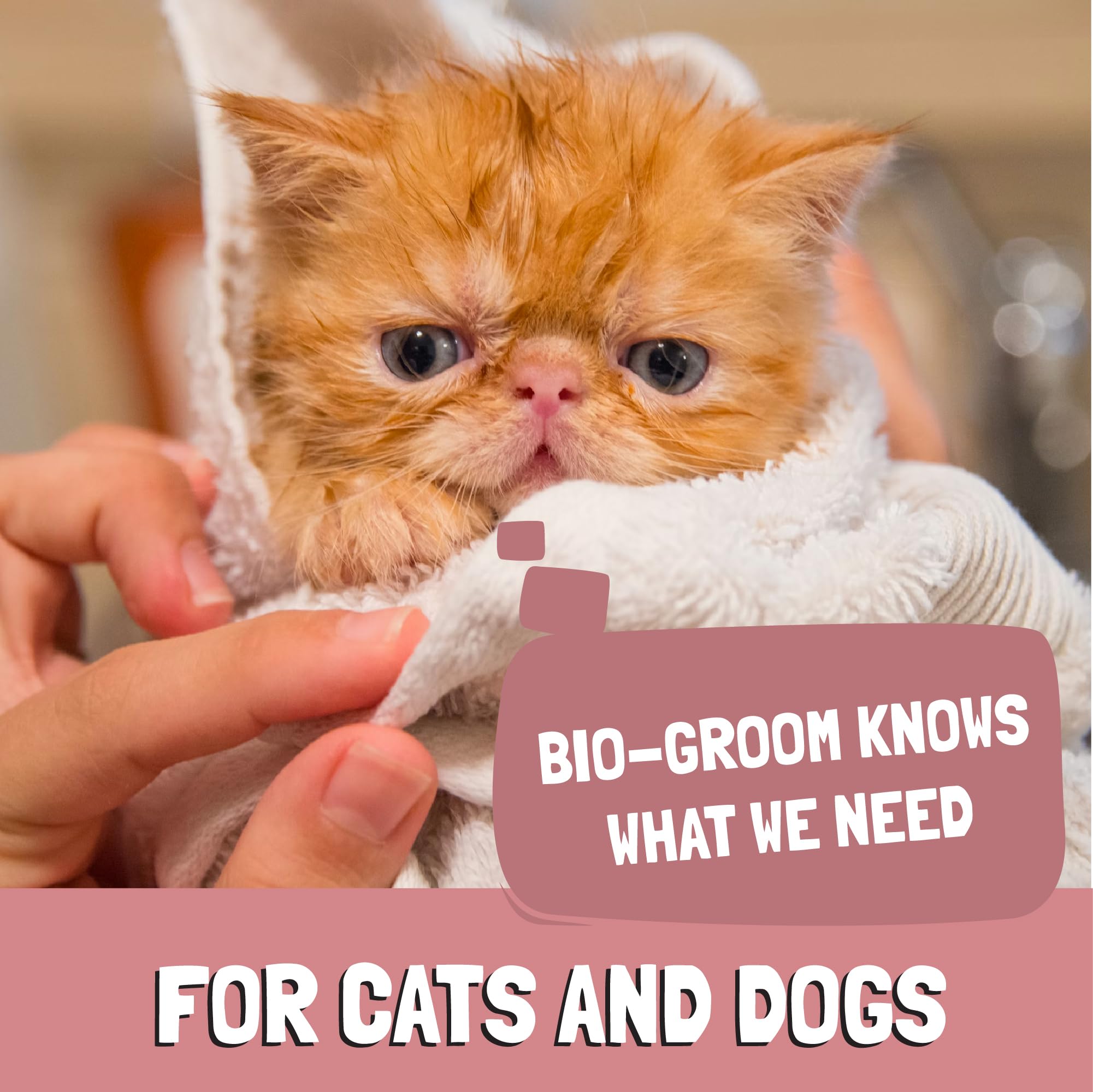 Bio-Groom Réduction d’odeur, solution légère pour le conduit auditif