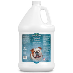 Bio-Groom Shampoing Avoine pour chien, bouteille galon, pratique pour bains réguliers