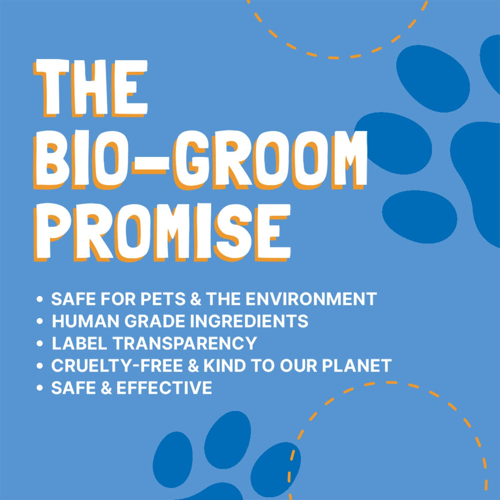 Format galon du Shampoing Avoine Bio-Groom pour grands usages