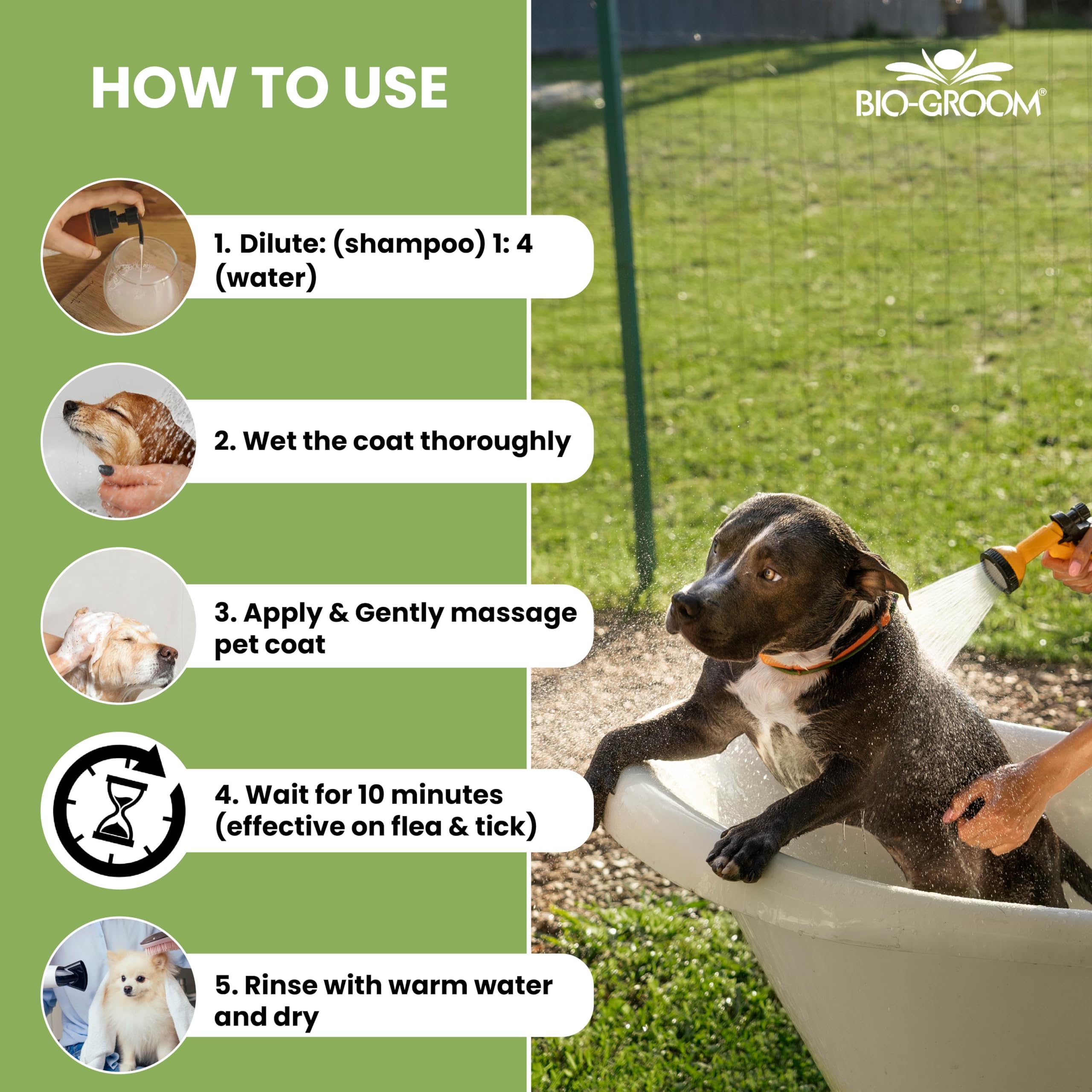 Bio-Groom Shampoing Puces Tiques chiots chatons, convient pour jeunes animaux.