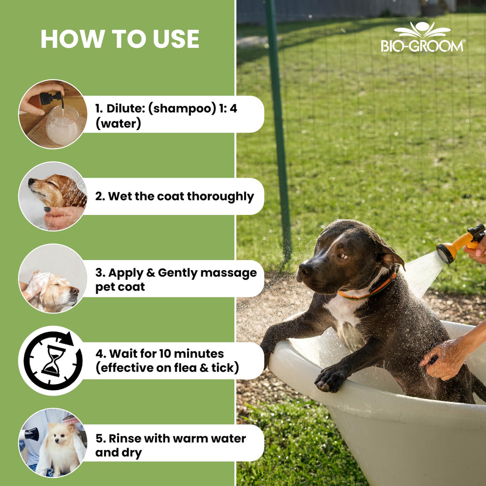 Bio-Groom Shampoing Puces Tiques chiots chatons, convient pour jeunes animaux.