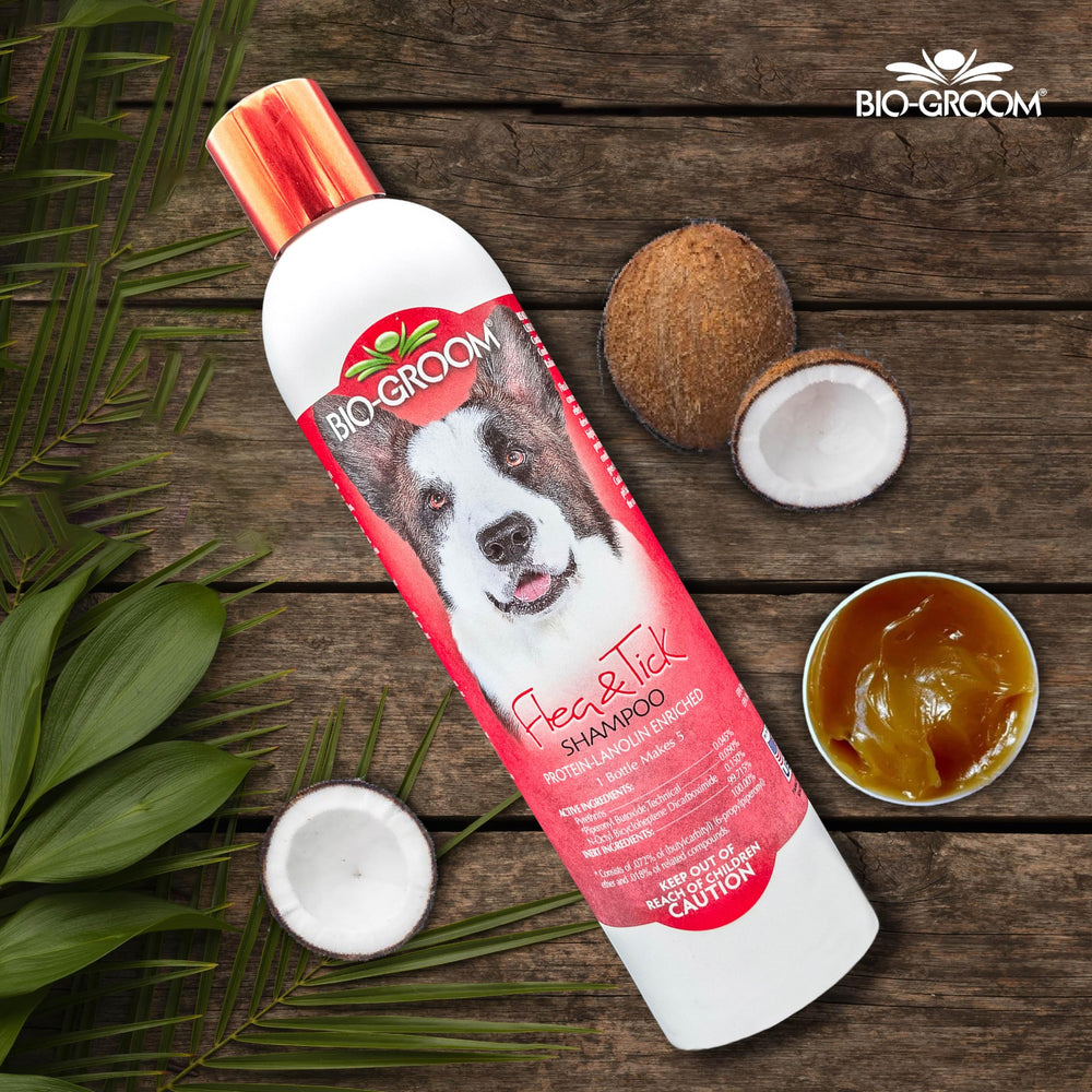 Bio-Groom Shampoing Puces Tiques poil nourri, pelage doux et hydraté.