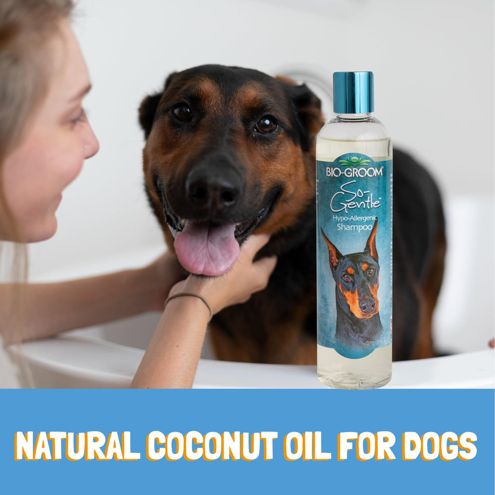 Bio-Groom So-Gentle Shampoing sans parabènes et sans colorants: sécurité quotidienne