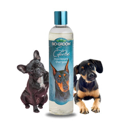 Bio-Groom So-Gentle Shampoing, bouteille: douceur et propreté pour chiens et chats